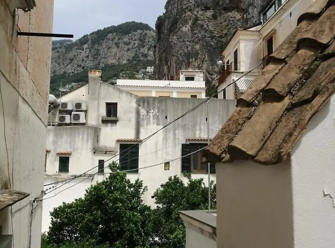 Casatua